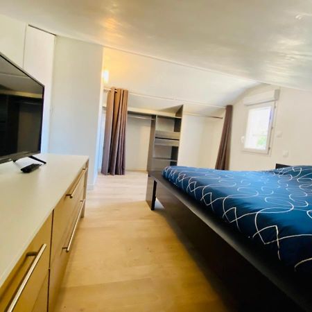 דירות טולוז T3 En Duplex Pour 6 Pers Bien Place Terrasse Et Parking Inclus מראה חיצוני תמונה