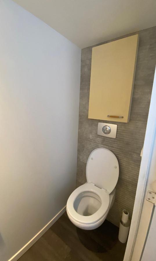 דירות טולוז T3 En Duplex Pour 6 Pers Bien Place Terrasse Et Parking Inclus מראה חיצוני תמונה